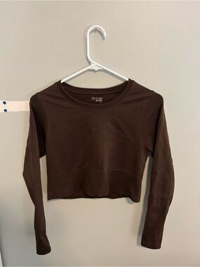 aerie Brown Long-Sleeve Cropped Tee